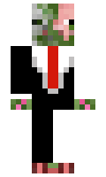 iiDii minecraft skin