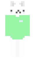 5f323d657fc2c2 minecraft skin