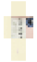 5f3481310d2f4d minecraft skin