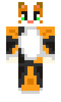 5f4a3101e860fb minecraft skin