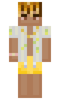 5f5d0eacd12712 minecraft skin