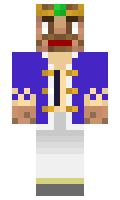 didi minecraft skin