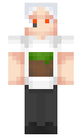 KOLPLAYYY minecraft skin