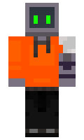 GM5tort minecraft skin