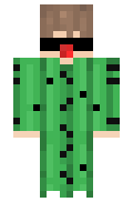 govno228 minecraft skin