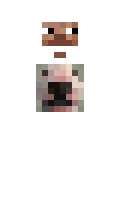 XxstevenxX5339 minecraft skin