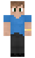 6041d4641172d3 minecraft skin