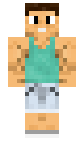 606c2f6cb07b24 minecraft skin