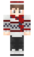 FleexYT minecraft skin