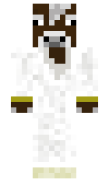 AFT11 minecraft skin