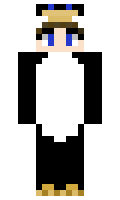 pps3655 minecraft skin