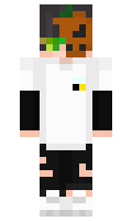 60d8763dd710fb minecraft skin