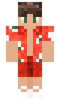 60fe0df5a5b5f5 minecraft skin