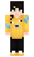 610dc20e6babf8 minecraft skin