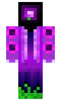 61132fb5ff746e minecraft skin