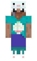 6114d324c0f584 minecraft skin