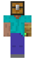612083dbb0cf70 minecraft skin