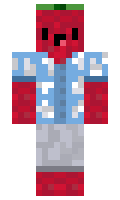 613112b87bc5f5 minecraft skin