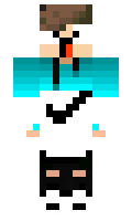 616a6835b2fcd0 minecraft skin