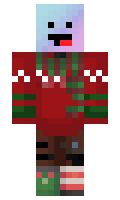 HeyyTurtle minecraft skin