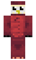 PenguinY minecraft skin