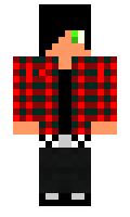 stupidly minecraft skin