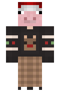 619e1d6ba75d6e minecraft skin
