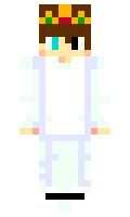 61a9a6e6117299 minecraft skin