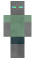 AccelShark minecraft skin