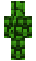 Ferenz1305 minecraft skin