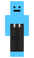 Case minecraft skin