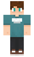 NiklasSlunce minecraft skin