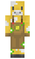 XHadez minecraft skin