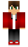 ldskullz minecraft skin