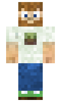 Romanse minecraft skin