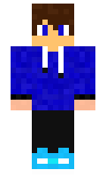 Salamsung minecraft skin