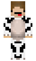 6278bb635f9610 minecraft skin