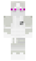 zx5790 minecraft skin