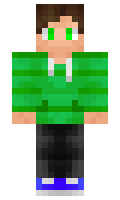 629469329b7650 minecraft skin