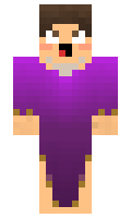 BrinBrn minecraft skin