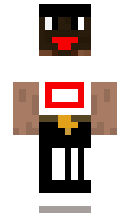 digandbuilder minecraft skin