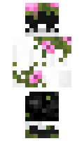 62e85123b59cd6 minecraft skin