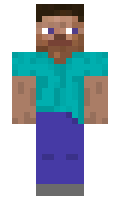 parasha minecraft skin