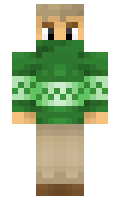 Armadillo28 minecraft skin