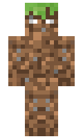 fleyoo minecraft skin