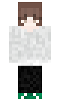 6337d7a6debcb4 minecraft skin