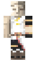 BRICKSGN minecraft skin