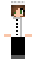 63a2135dcf572d minecraft skin