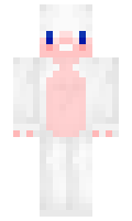 63bec540a0acc9 minecraft skin