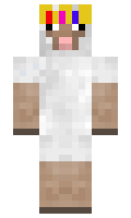 63c7338b67edcc minecraft skin